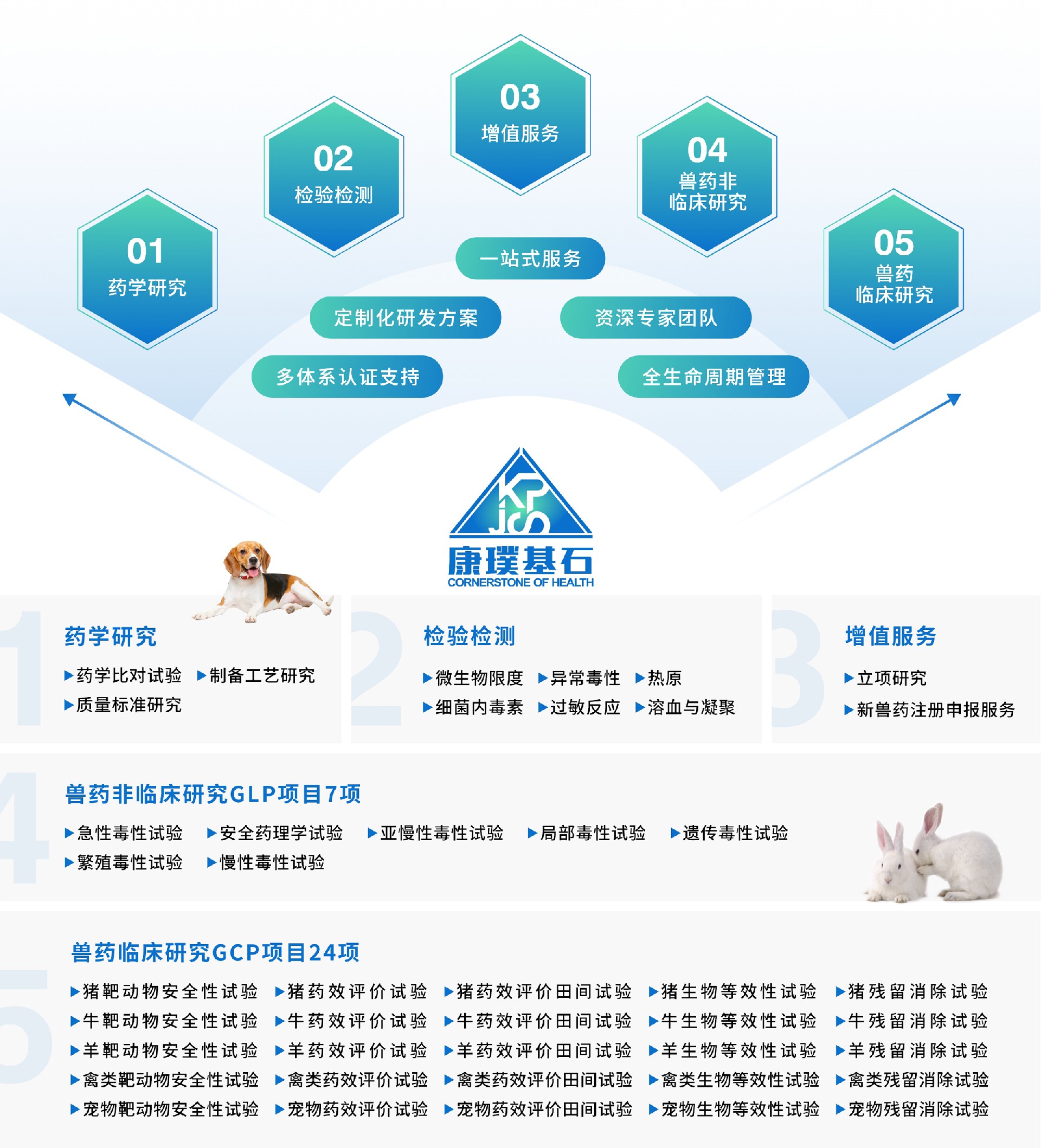 新兽药研发流程（中药&化药）.jpg