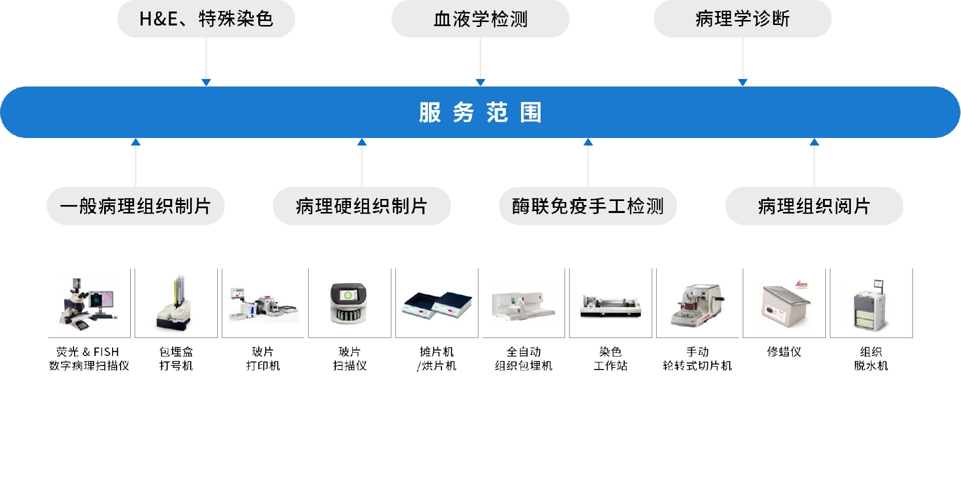 病理临检.jpg