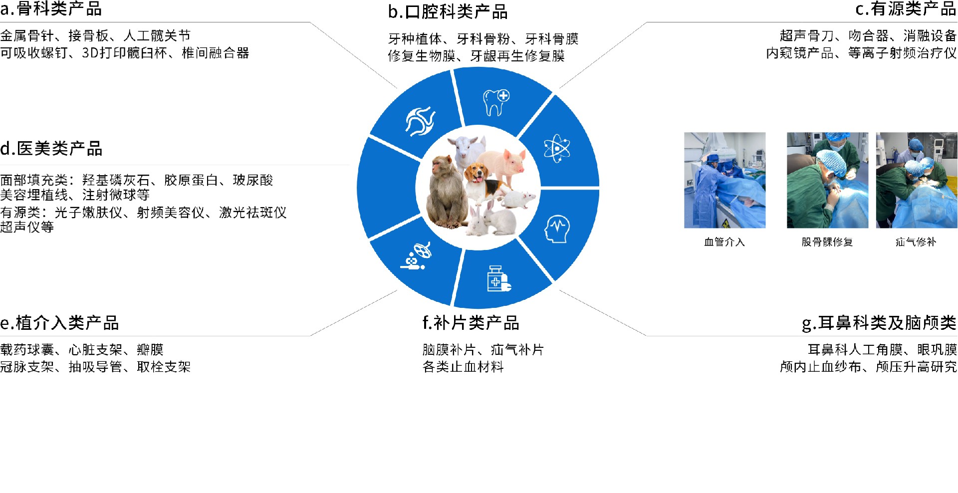 临床前大动物试验项目经验.jpg